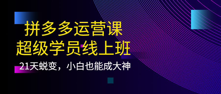 拼多多运营课：超级学员线上班，21天蜕变，小白也能成大神网创吧-网创项目资源站-副业项目-创业项目-搞钱项目八百网赚