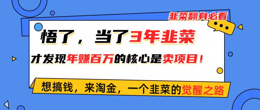 悟了，当了3年韭菜，才发现网赚圈年赚100万的核心是卖项目，含泪分享！网创吧-网创项目资源站-副业项目-创业项目-搞钱项目八百网赚