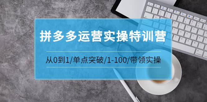 拼多多运营实操特训营：从0到1/单点突破/1-100/带领实操 价值2980元网创吧-网创项目资源站-副业项目-创业项目-搞钱项目八百网赚