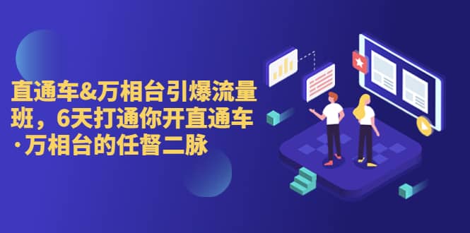 直通车+万相台引爆流量班，6天打通你开直通车·万相台的任督 二脉网创吧-网创项目资源站-副业项目-创业项目-搞钱项目八百网赚