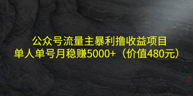 公众号流量主暴利撸收益项目，单人单号月稳赚5000+（价值480元）网创吧-网创项目资源站-副业项目-创业项目-搞钱项目八百网赚