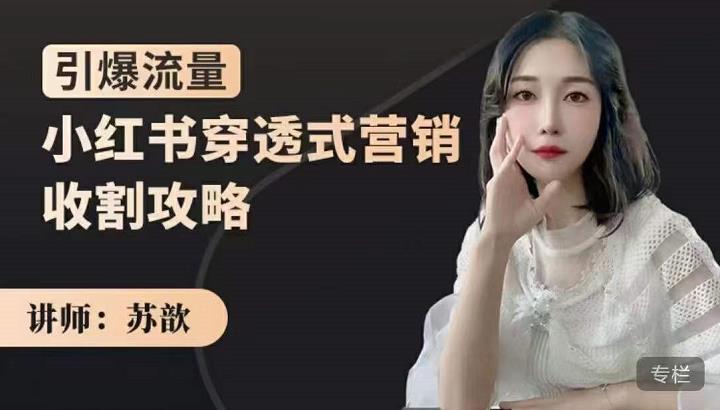 小红书穿透式营销收割攻略，引爆流量，助你玩转小红书网创吧-网创项目资源站-副业项目-创业项目-搞钱项目八百网赚