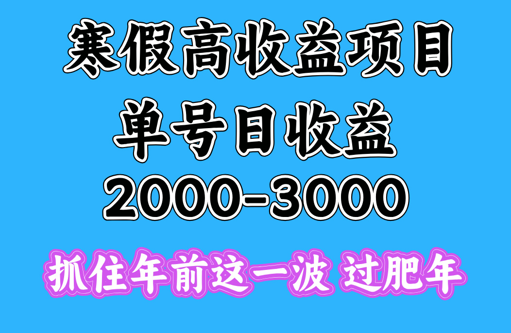寒假期间一天收益2000-3000+，抓住年前这一波网创吧-网创项目资源站-副业项目-创业项目-搞钱项目八百网赚