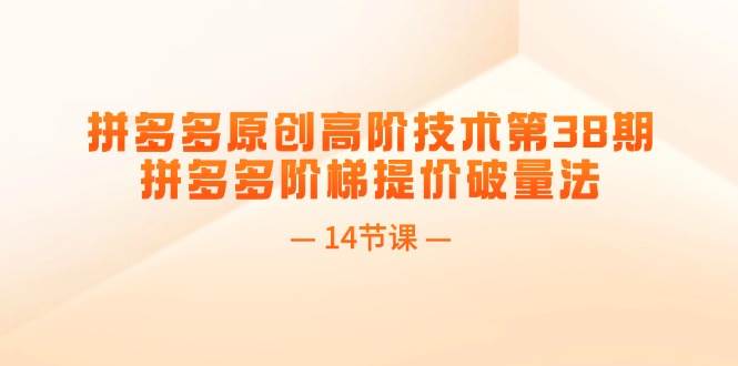 拼多多原创高阶技术第38期，拼多多阶梯提价破量法（14节课）网创吧-网创项目资源站-副业项目-创业项目-搞钱项目八百网赚