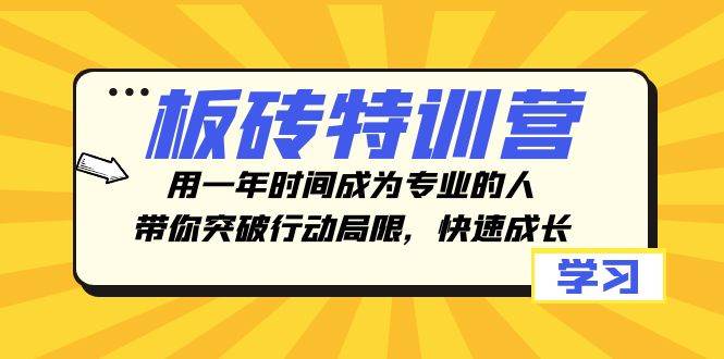 板砖特训营，用一年时间成为专业的人，带你突破行动局限，快速成长网创吧-网创项目资源站-副业项目-创业项目-搞钱项目八百网赚