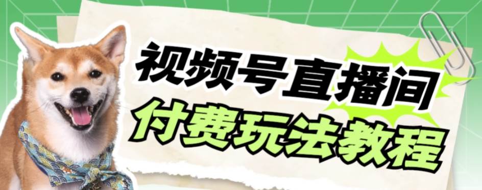 视频号美女付费无人直播，轻松日入500+【详细玩网创吧-网创项目资源站-副业项目-创业项目-搞钱项目八百网赚