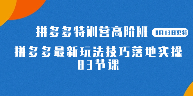 2023拼多多·特训营高阶班【9月13日更新】拼多多最新玩法技巧落地实操-83节网创吧-网创项目资源站-副业项目-创业项目-搞钱项目八百网赚