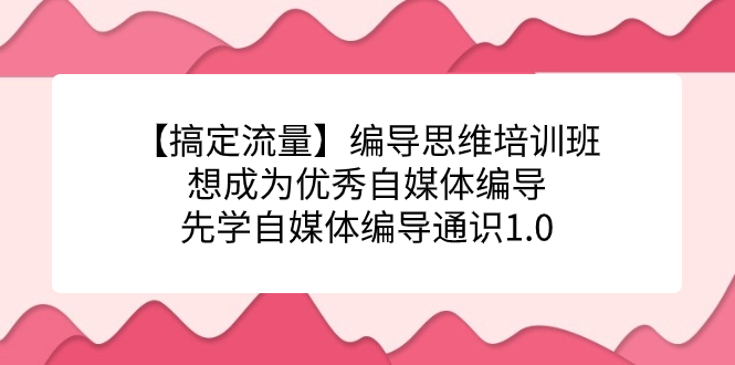 【搞定流量】编导思维培训班，想成为优秀自媒体编导先学自媒体编导通识1.0网创吧-网创项目资源站-副业项目-创业项目-搞钱项目八百网赚