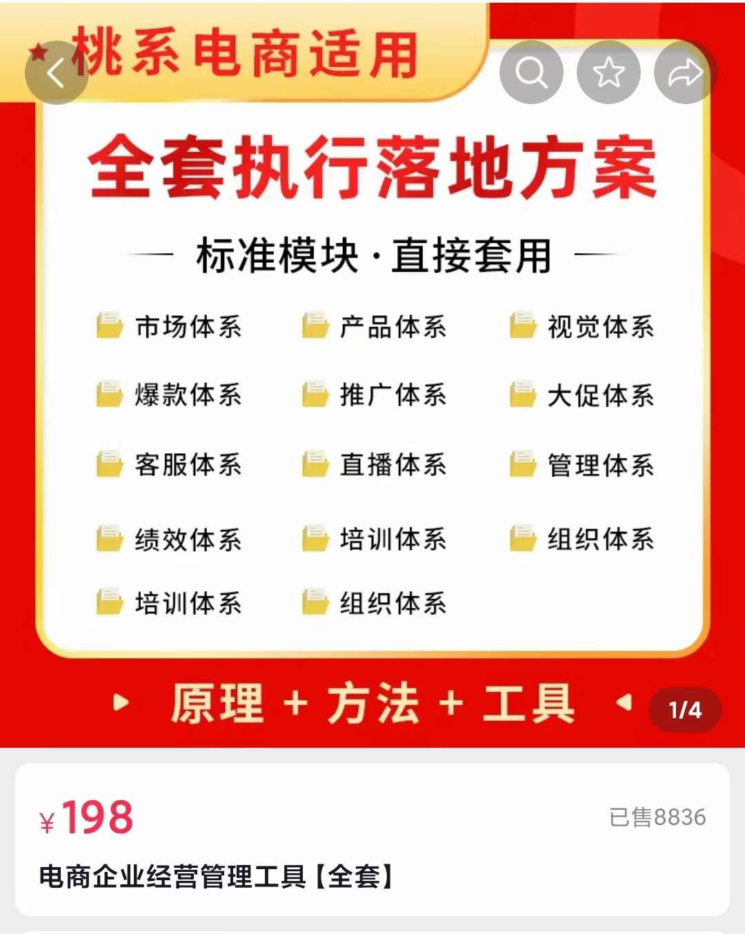 外面卖198·电商企业经营管理工具：全套执行落地方案 标准模块·直接套用网创吧-网创项目资源站-副业项目-创业项目-搞钱项目八百网赚