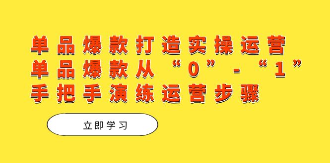 单品爆款打造实操运营，单品爆款从“0”-“1”手把手演练运营步骤网创吧-网创项目资源站-副业项目-创业项目-搞钱项目八百网赚