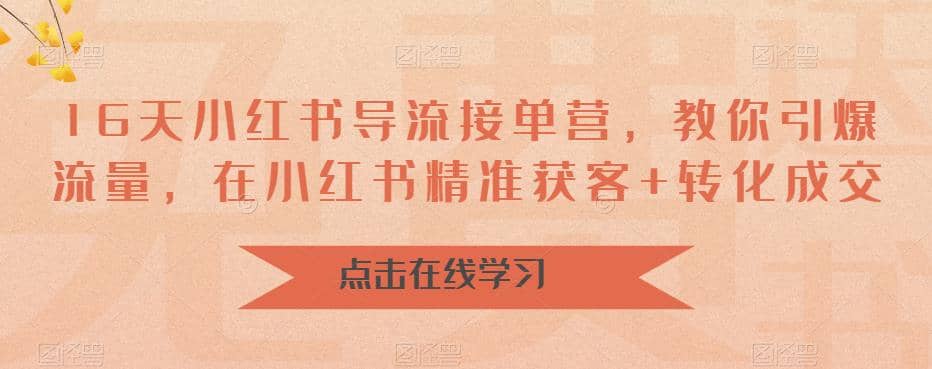16天-小红书 导流接单营，教你引爆流量，在小红书精准获客+转化成交网创吧-网创项目资源站-副业项目-创业项目-搞钱项目八百网赚