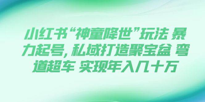 小红书“神童降世”玩法 暴力起号,私域打造聚宝盆 弯道超车 实现年入几十万网创吧-网创项目资源站-副业项目-创业项目-搞钱项目八百网赚