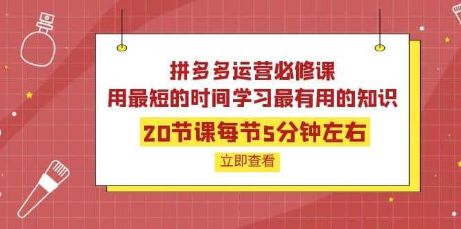 拼多多运营必修课：20节课每节5分钟左右，用最短的时间学习最有用的知识网创吧-网创项目资源站-副业项目-创业项目-搞钱项目八百网赚