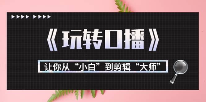 月营业额700万+大佬教您《玩转口播》让你从“小白”到剪辑“大师”网创吧-网创项目资源站-副业项目-创业项目-搞钱项目八百网赚