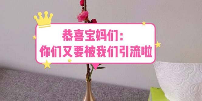 恭喜宝妈们：你们又要被我们引流了（教程+222g资料）网创吧-网创项目资源站-副业项目-创业项目-搞钱项目八百网赚