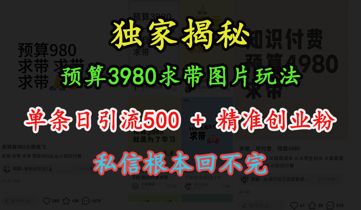 “小红书”预算3980求带 图片玩法，单条日引流500+精准创业粉，私信根本回不完网创吧-网创项目资源站-副业项目-创业项目-搞钱项目八百网赚