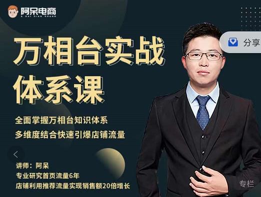 阿呆-万相台实战体系课，帮您全面掌握万相台知识体系网创吧-网创项目资源站-副业项目-创业项目-搞钱项目八百网赚