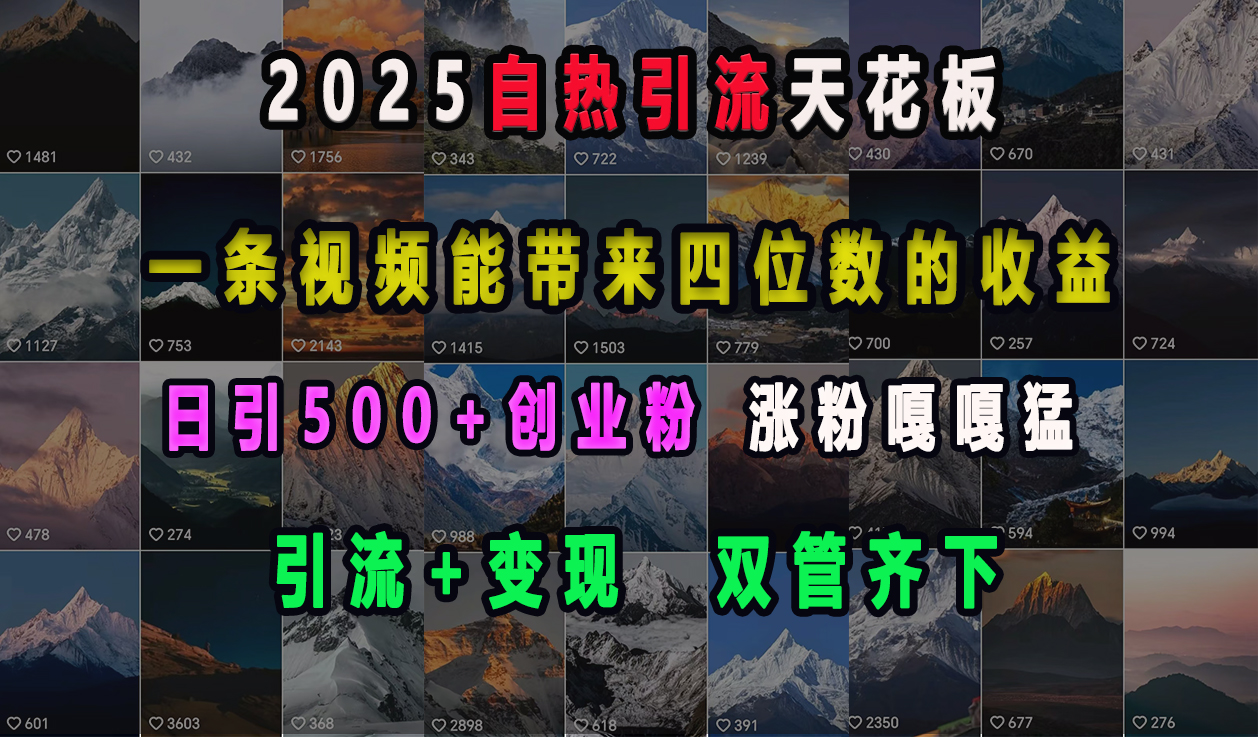 2025自热引流天花板，一条视频能带来四位数的收益，引流+变现双管齐下，日引500+创业粉，涨粉嘎嘎猛网创吧-网创项目资源站-副业项目-创业项目-搞钱项目八百网赚
