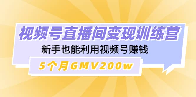 视频号直播间变现训练营网创吧-网创项目资源站-副业项目-创业项目-搞钱项目八百网赚