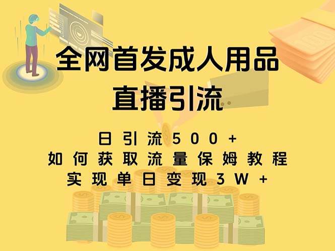 最新全网独创首发，成人用品直播引流获客暴力玩法，单日变现3w保姆级教程网创吧-网创项目资源站-副业项目-创业项目-搞钱项目八百网赚