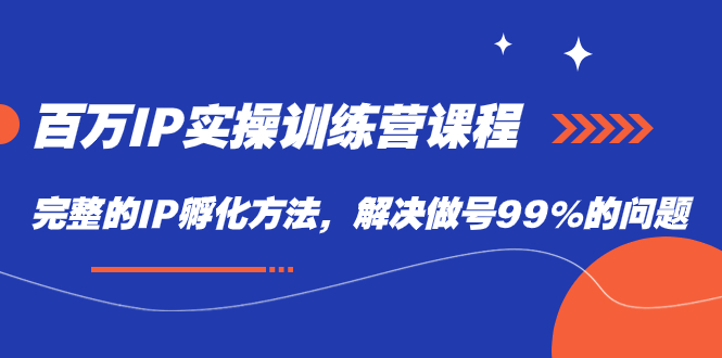 百万IP实战训练营课程，完整的IP孵化方法，解决做号99%的问题网创吧-网创项目资源站-副业项目-创业项目-搞钱项目八百网赚