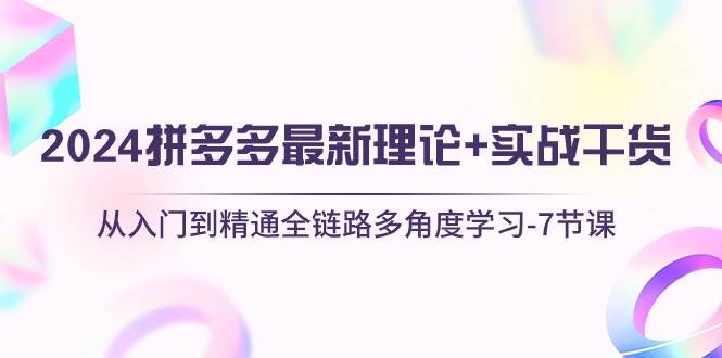 2024拼多多 最新理论+实战干货，从入门到精通全链路多角度学习-7节课网创吧-网创项目资源站-副业项目-创业项目-搞钱项目八百网赚