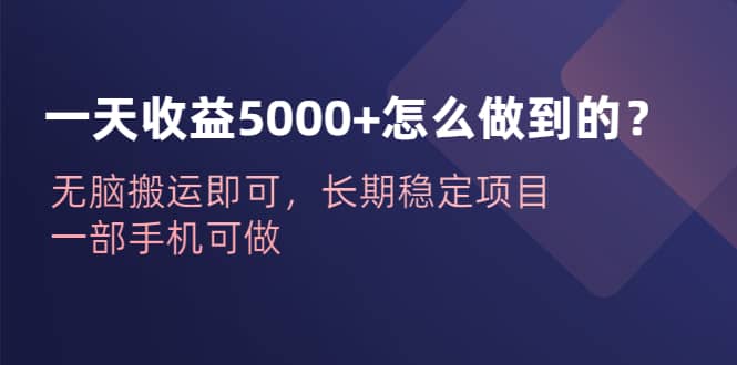 一天收益5000+怎么做到的？无脑搬运即可，长期稳定项目，一部手机可做网创吧-网创项目资源站-副业项目-创业项目-搞钱项目八百网赚