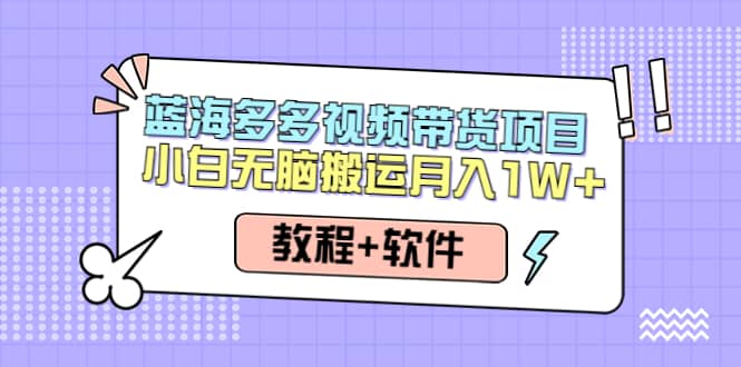 人人都能操作的蓝海多多视频带货项目 小白无脑搬运（教程+软件）网创吧-网创项目资源站-副业项目-创业项目-搞钱项目八百网赚
