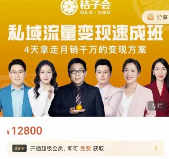 桔子会·私域流量变现速成班，4天拿走月销千万的变现方案 价值12800元网创吧-网创项目资源站-副业项目-创业项目-搞钱项目八百网赚