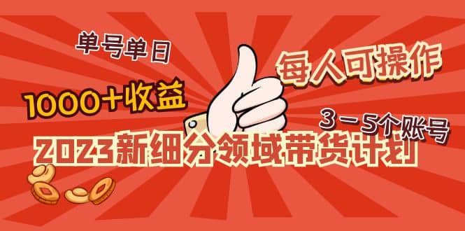2023新细分领域带货计划：单号单日1000+收益不难，每人可操作3-5个账号网创吧-网创项目资源站-副业项目-创业项目-搞钱项目八百网赚