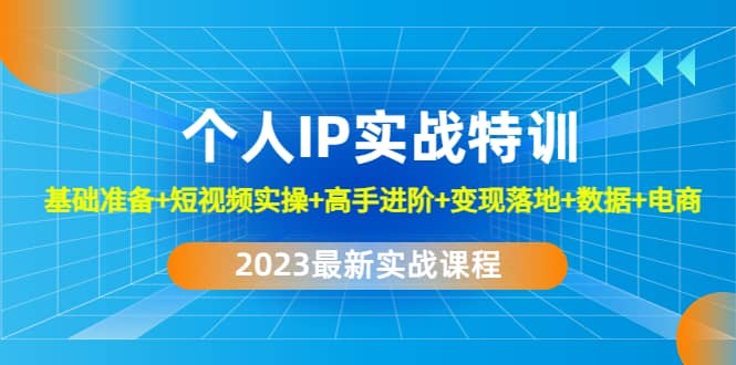 2023个人IP实战特训：基础准备+短视频实操+高手进阶+变现落地+数据+电商网创吧-网创项目资源站-副业项目-创业项目-搞钱项目八百网赚