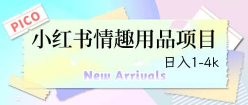最新小红书情趣用品项目，日入1-4k网创吧-网创项目资源站-副业项目-创业项目-搞钱项目八百网赚