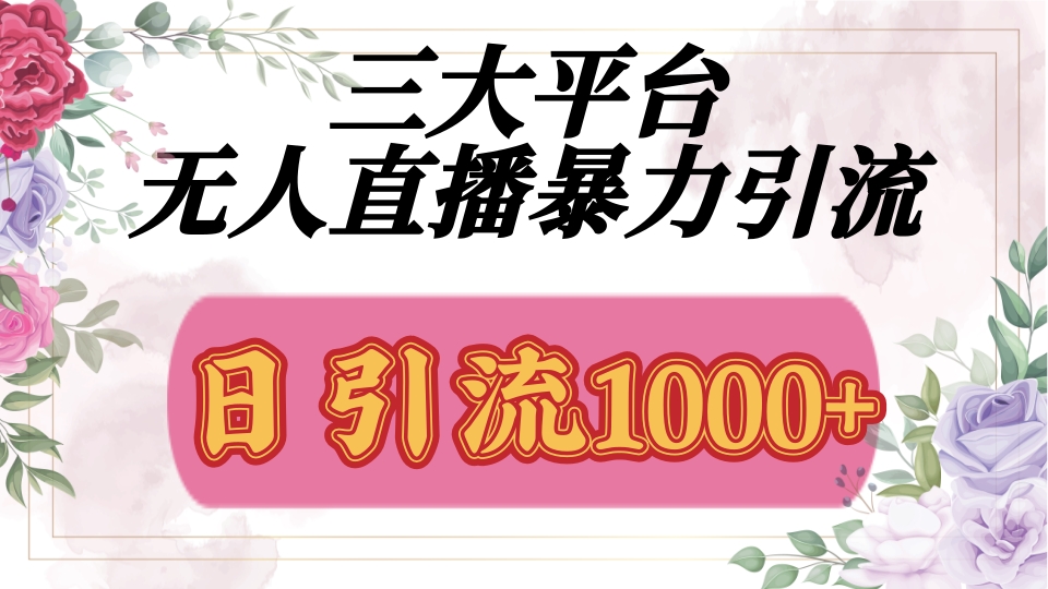 抖音，快手，视频号全平台通用，无人直播引流法，利用图片,模板,整套话术挂机全天支持矩阵操作，无限设备多开，超暴力引流，1000+高质量精准创业粉网创吧-网创项目资源站-副业项目-创业项目-搞钱项目八百网赚