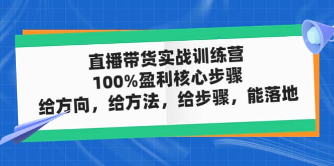 直播带货实战训练营：100%盈利核心步骤，给方向，给方法，给步骤，能落地网创吧-网创项目资源站-副业项目-创业项目-搞钱项目八百网赚