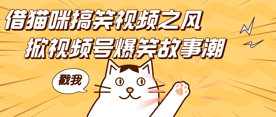 借猫咪搞笑视频之风，掀视频号爆笑故事潮，轻松日赚四位数，开启无门槛赚钱新体验！网创吧-网创项目资源站-副业项目-创业项目-搞钱项目八百网赚