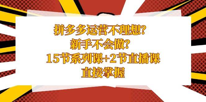 拼多多运营不理想？新手不会做？15节系列课+2节直播课，直接掌握网创吧-网创项目资源站-副业项目-创业项目-搞钱项目八百网赚