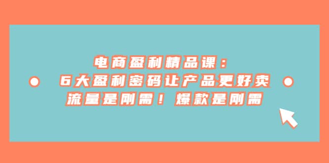 电商 盈利精品课：6大盈利 密码让产品更好卖，流量是刚需！爆款是刚需网创吧-网创项目资源站-副业项目-创业项目-搞钱项目八百网赚