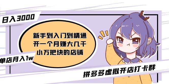 拼多多虚拟开店打卡群：新手到入门到精通网创吧-网创项目资源站-副业项目-创业项目-搞钱项目八百网赚