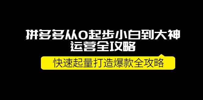 拼多多从0起步小白到大神运营全攻略网创吧-网创项目资源站-副业项目-创业项目-搞钱项目八百网赚