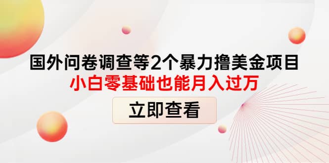 国外问卷调查等2个暴力撸美元项目，小白零基础也能月入过万网创吧-网创项目资源站-副业项目-创业项目-搞钱项目八百网赚