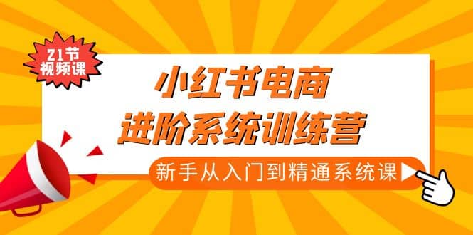 小红书电商进阶系统训练营：新手从入门到精通系统课（21节视频课）网创吧-网创项目资源站-副业项目-创业项目-搞钱项目八百网赚