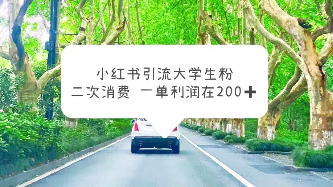 小红书引流大学生粉，变现项目，一单利润在200+（教程+资源）网创吧-网创项目资源站-副业项目-创业项目-搞钱项目八百网赚
