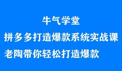 牛气学堂拼多多打造爆款系统实战课，老陶带你轻松打造爆款网创吧-网创项目资源站-副业项目-创业项目-搞钱项目八百网赚