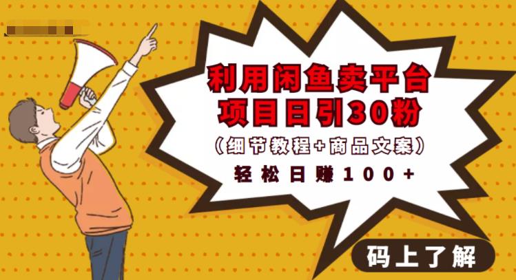 利用闲鱼卖平台项目课程资源日引流30+精准粉丝，轻松日赚100+，积累人脉可实现二次变现（细节教程+商品文案）网创吧-网创项目资源站-副业项目-创业项目-搞钱项目八百网赚