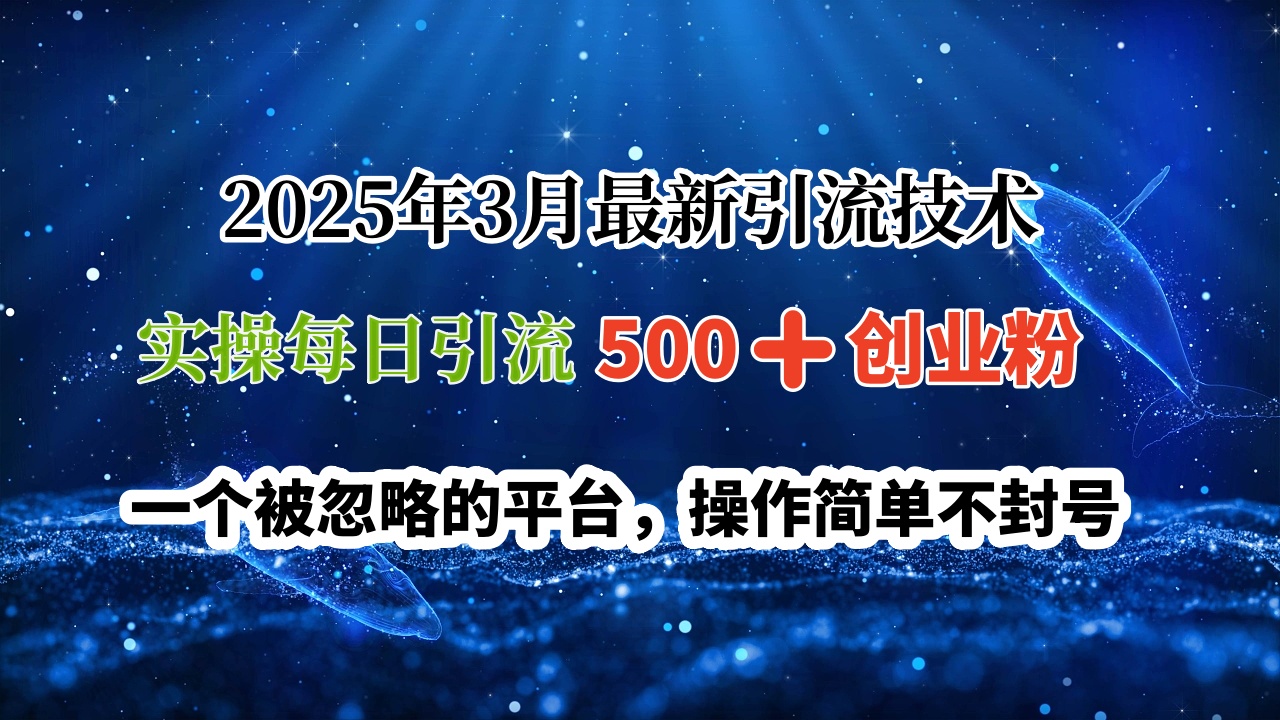 2025年3月最新引流技术，实操每日引流500➕创业粉，一个被忽略的平台，操作简单不封号网创吧-网创项目资源站-副业项目-创业项目-搞钱项目八百网赚