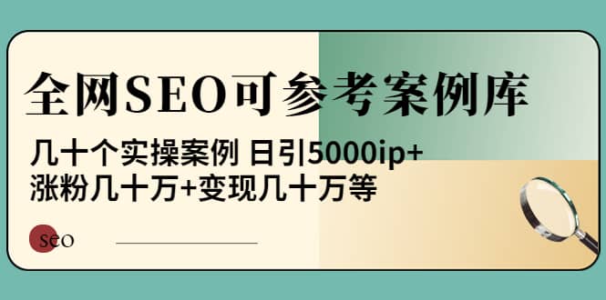 《全网SEO可参考案例库》几十个实操案例网创吧-网创项目资源站-副业项目-创业项目-搞钱项目八百网赚