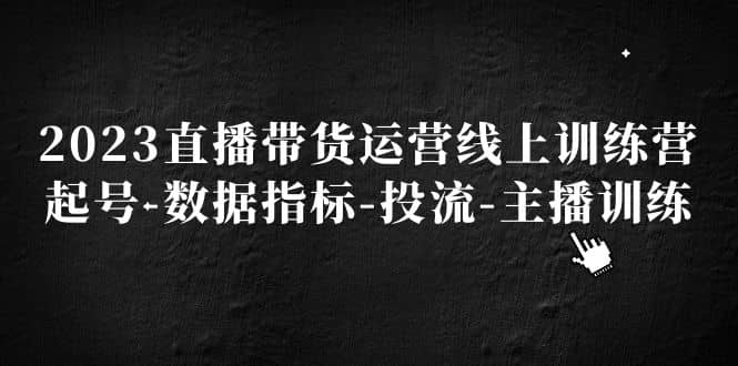 2023直播带货运营线上训练营，起号-数据指标-投流-主播训练网创吧-网创项目资源站-副业项目-创业项目-搞钱项目八百网赚
