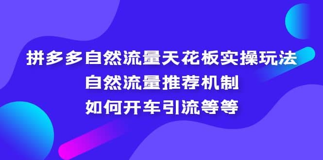 拼多多自然流量天花板实操玩法：自然流量推荐机制，如何开车引流等等网创吧-网创项目资源站-副业项目-创业项目-搞钱项目八百网赚