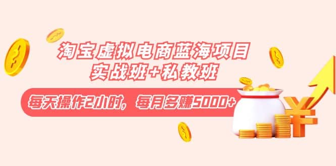 淘宝虚拟电商蓝海项目实战班+私教班网创吧-网创项目资源站-副业项目-创业项目-搞钱项目八百网赚