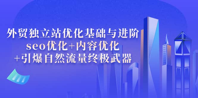 外贸独立站优化基础与进阶，seo优化+内容优化+引爆自然流量终极武器网创吧-网创项目资源站-副业项目-创业项目-搞钱项目八百网赚